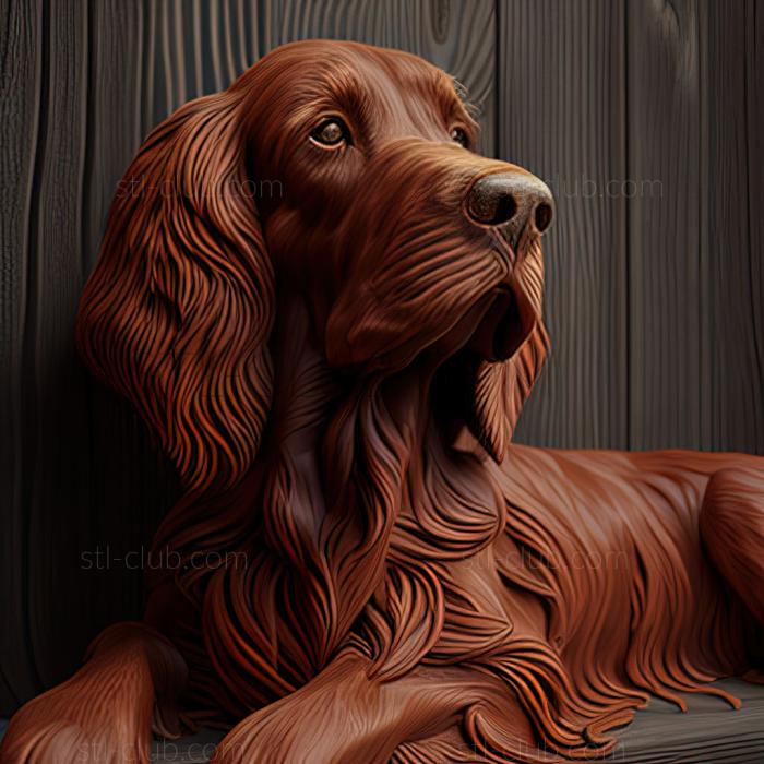 st Irish Red Setter dog